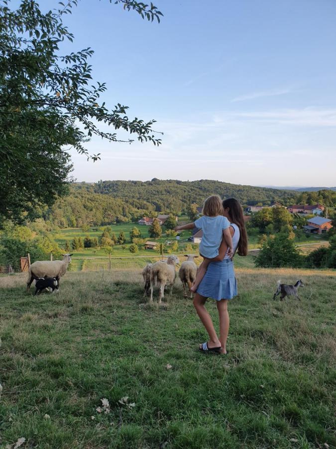 Beautiful House Surrounded By Pure Nature Rogašovci Esterno foto