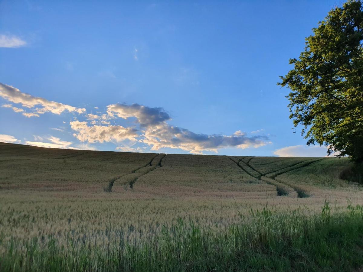 Beautiful House Surrounded By Pure Nature Rogašovci Esterno foto